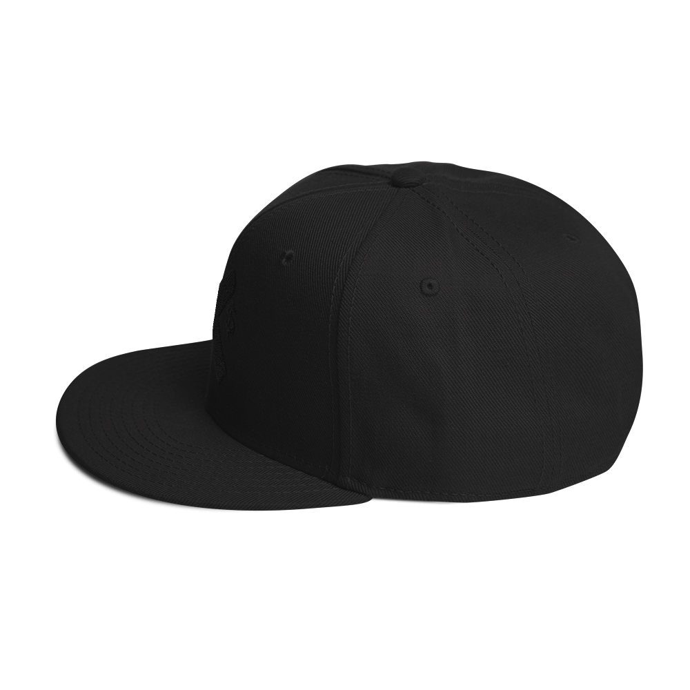 ELYTE Shadow X Snapback